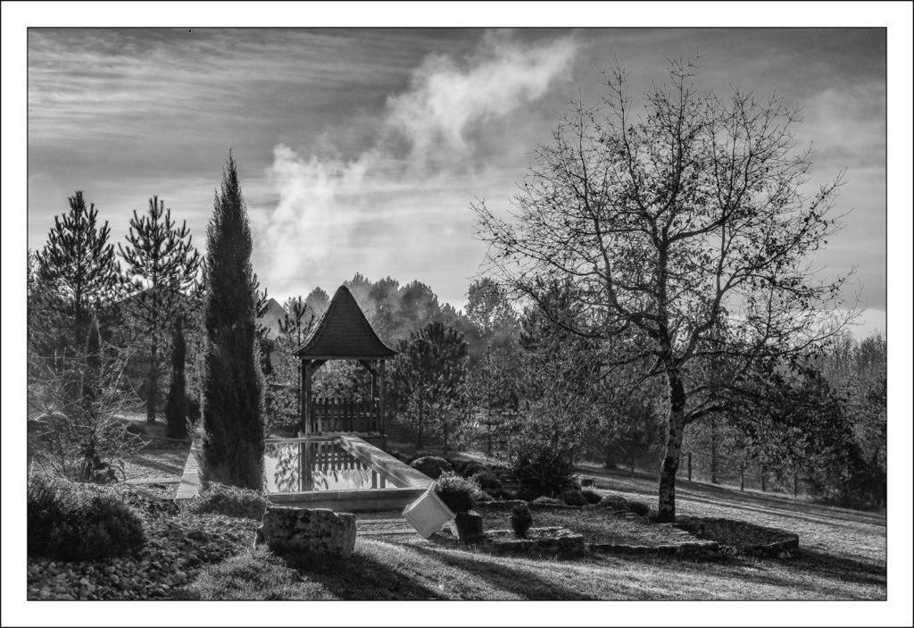 Le Lion D'Or En Perigord Bed & Breakfast Mauzac-et-Grand-Castang Bagian luar foto